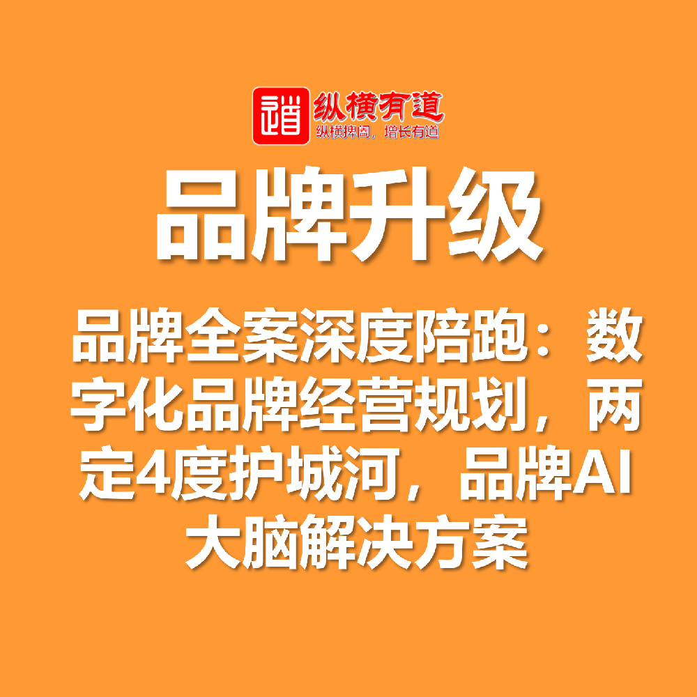品牌升级