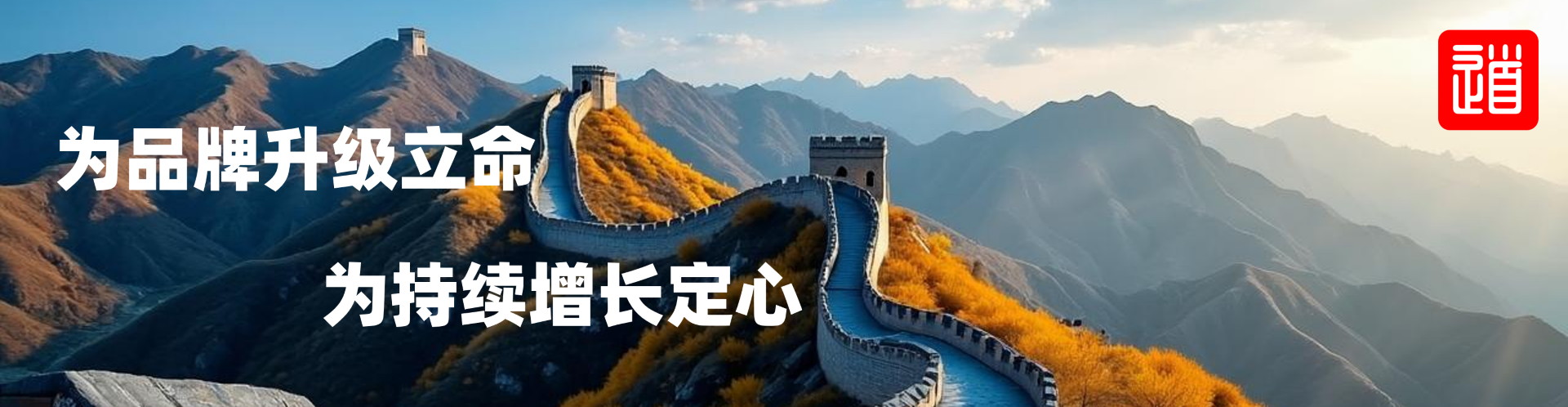 纵横文化