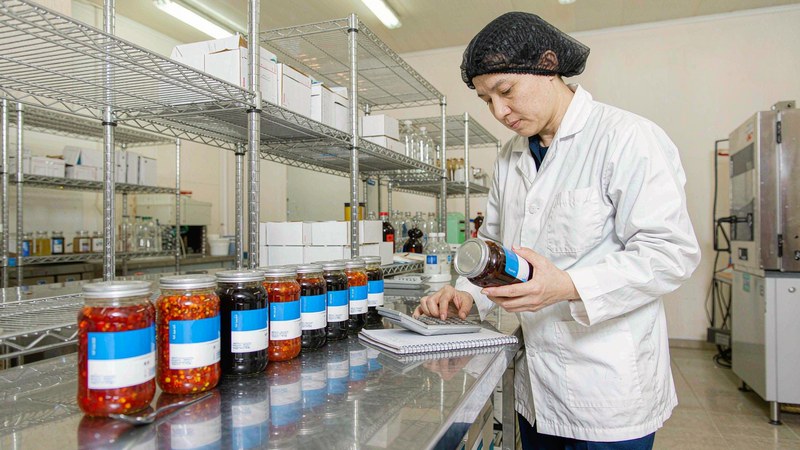 企业AI落地：泰州制药厂的批记录管理，为什么每次审计都查不到记录